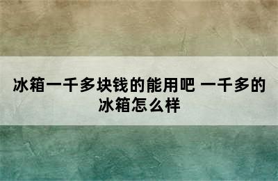 冰箱一千多块钱的能用吧 一千多的冰箱怎么样